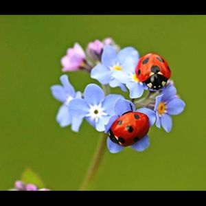 Meet your Posher, Tasha